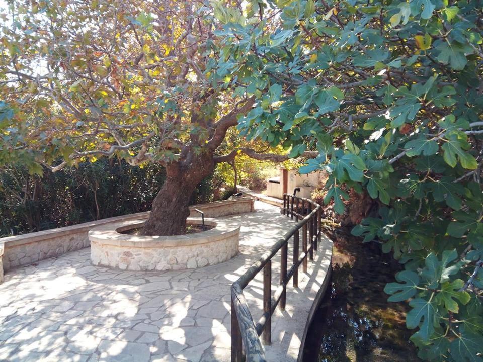 Dimitra Apartments Zakros City Luaran gambar
